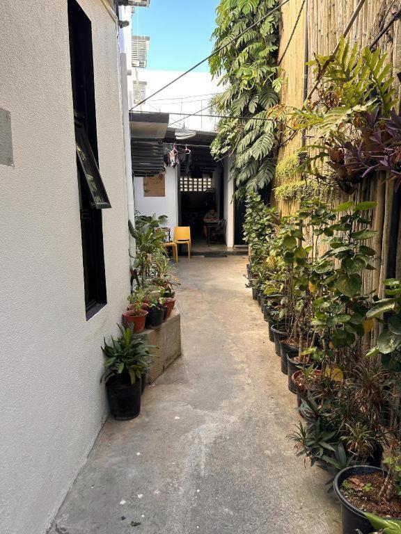 Hotel Urban Boutique